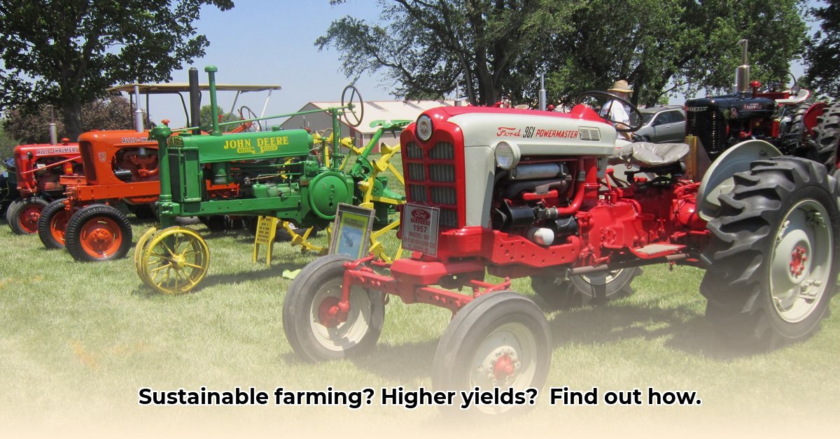 alapahoochee-tractor-show